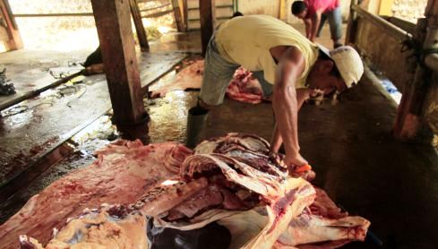 Dapat Kucuran DAK Pembangunan RPH Diharapkan Cepat Selesai